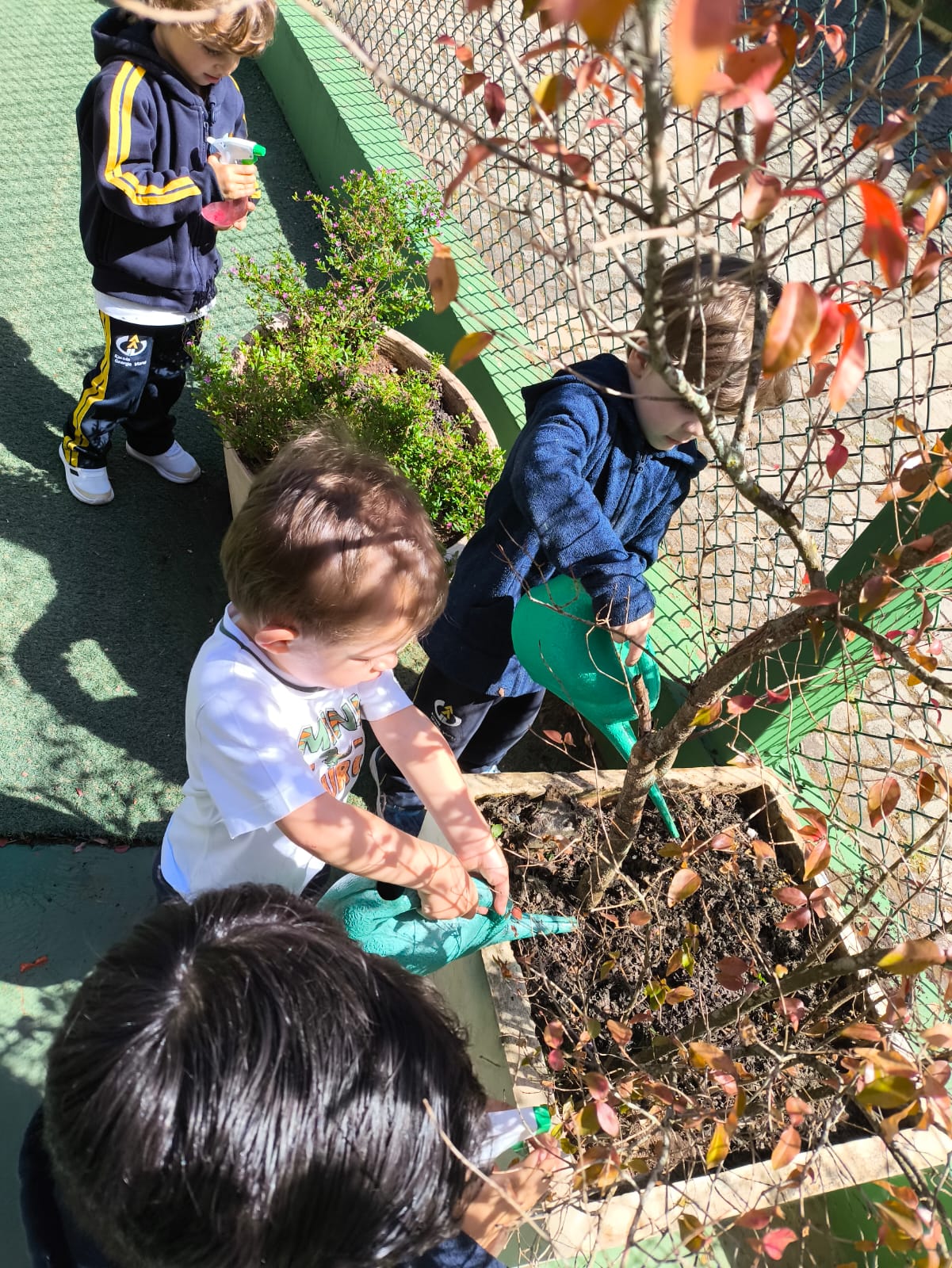 Crianças em atividade de jardinagem