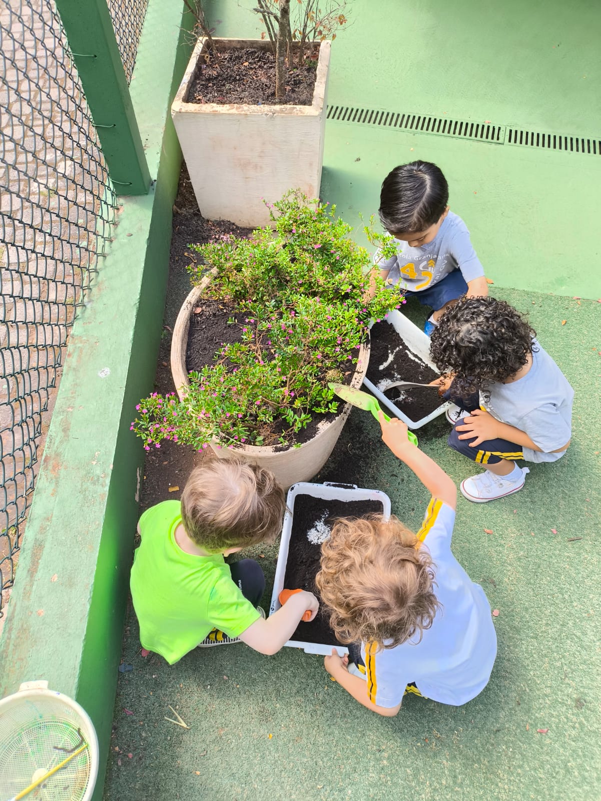 Criancas cuidando das plantas
